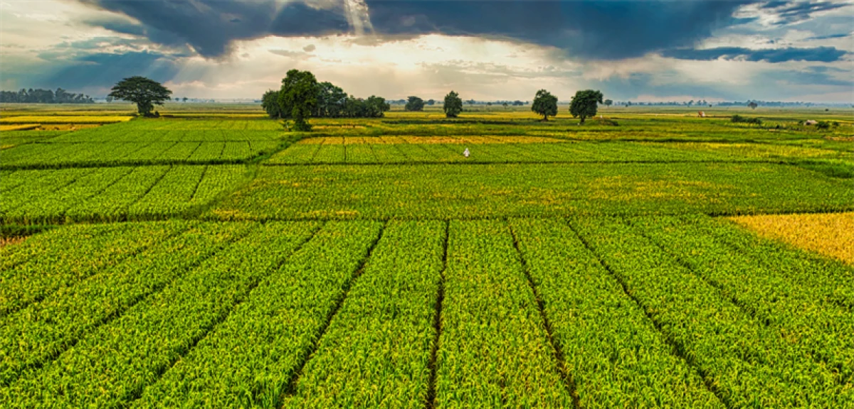 IPARD-III Kapsamında 156 Yerel Eylem Grubuna 2,2 Milyar Lira Hibe Desteği Sağlanacak